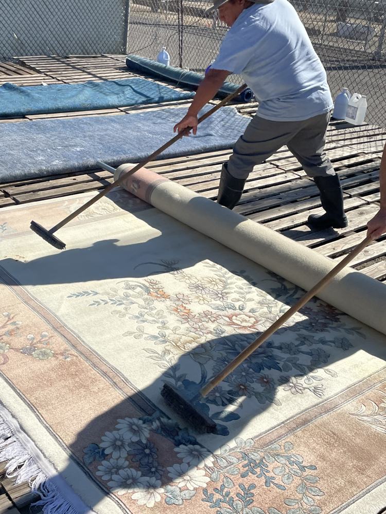 Brushing the pile of a floral rug after washing